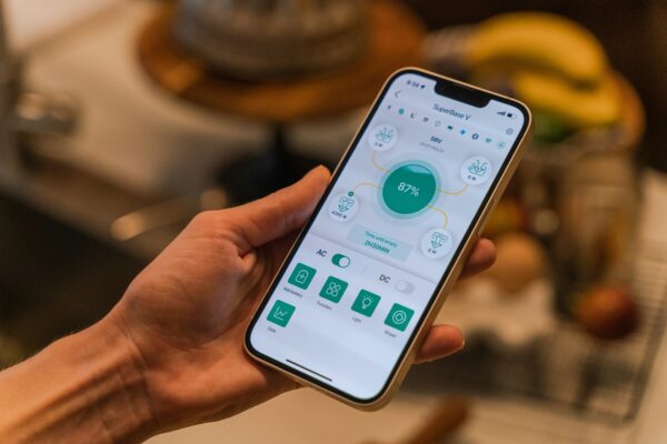 Smart Home Energy Management