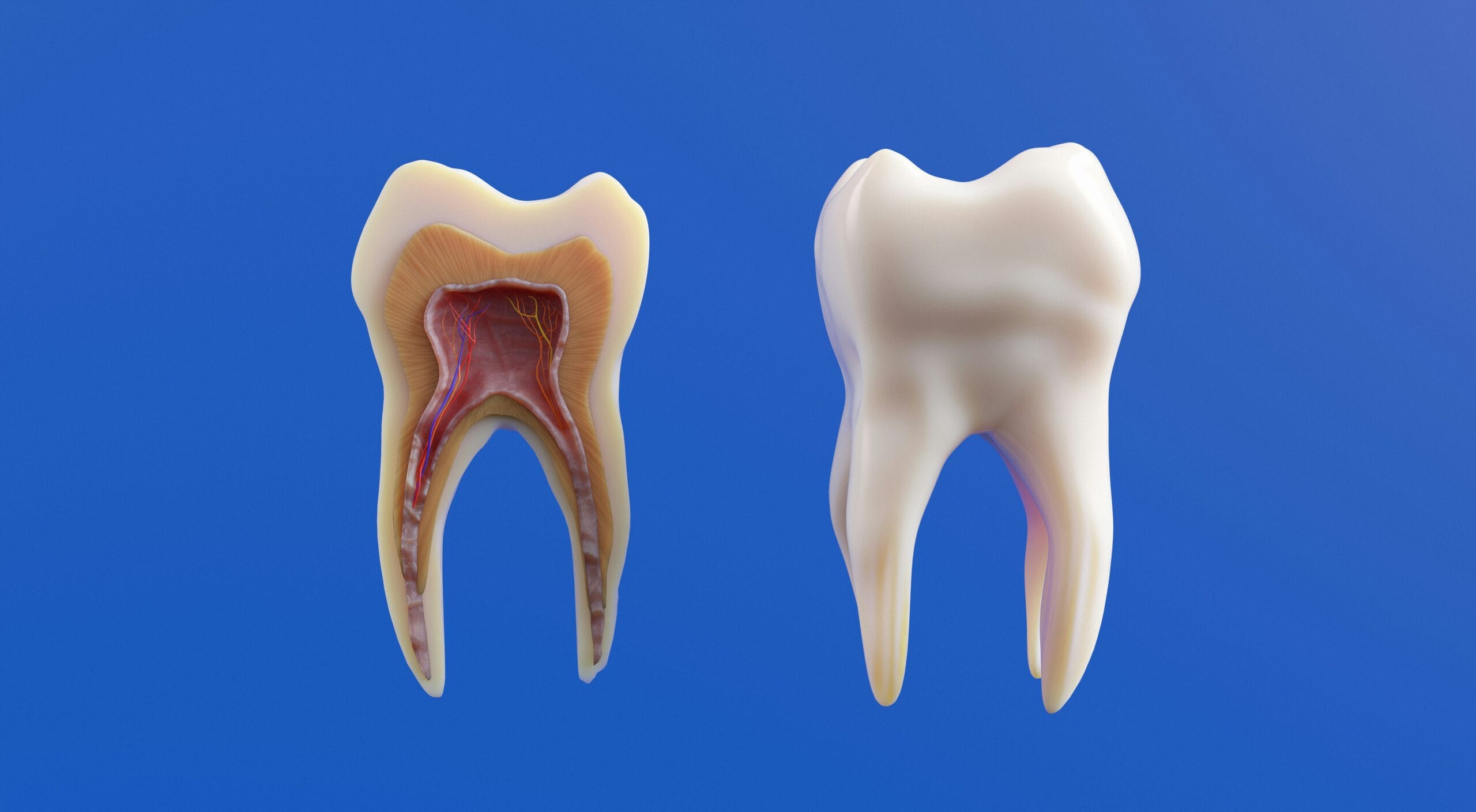 Tooth Pain From Sinus Infection: